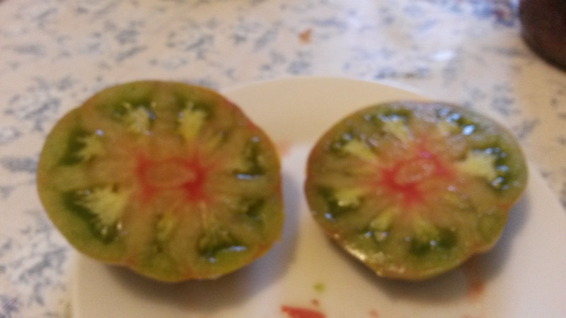 Заржавленное сердце Эверета