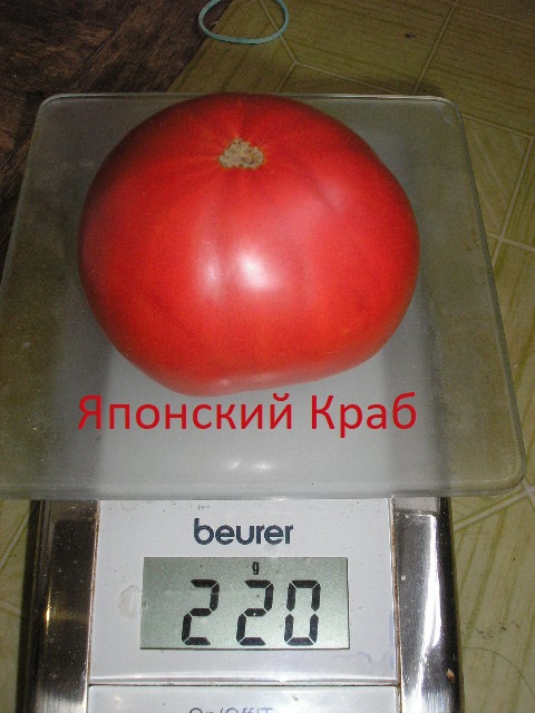 P1010214~.jpg
