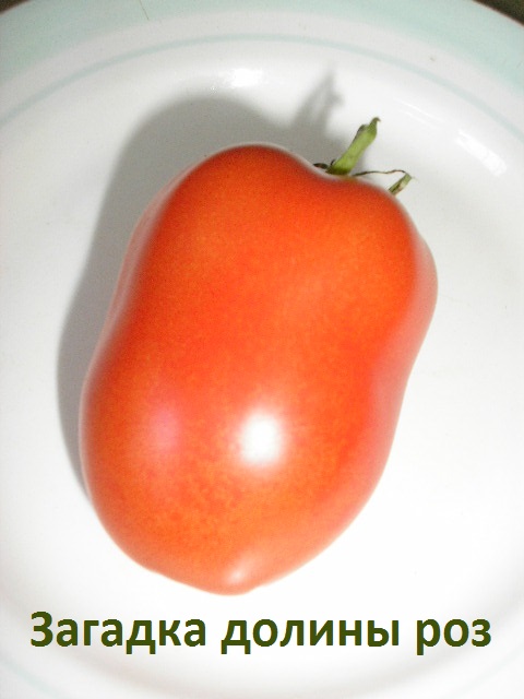 P1010211~.jpg