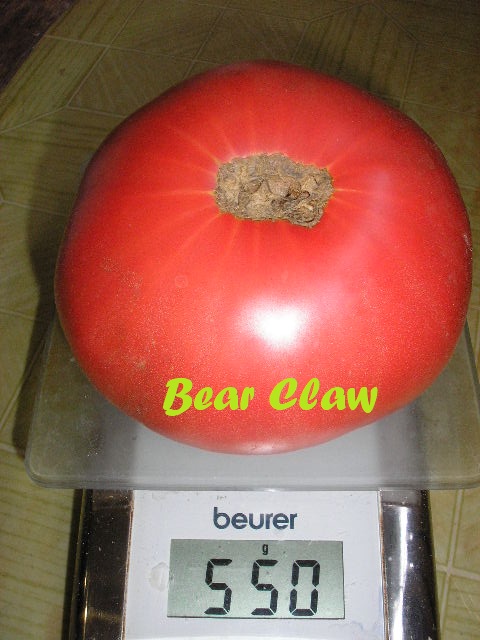 P1010208~.jpg