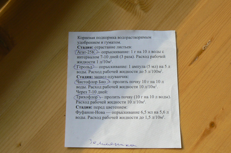 P1390596.JPG