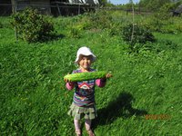ОгурецIMG_0465.JPG