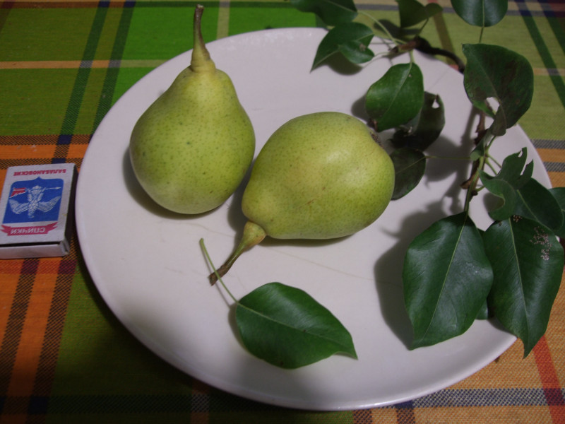DSCF8855.JPG