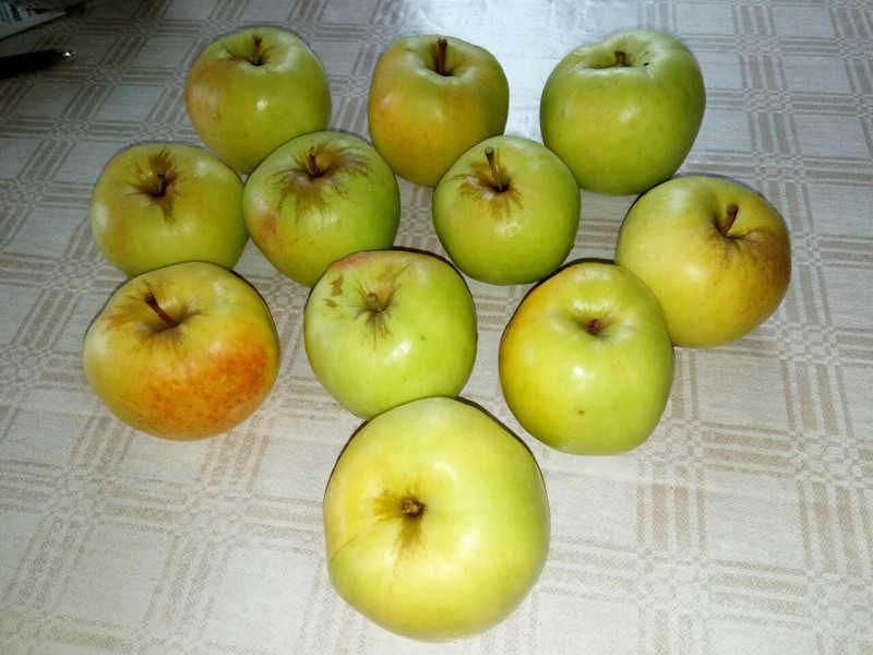 0-02-04-d81440e2a75f3ffaec577e7ec5b6a2ef2377c29bac7b36de410f3367833da452_full.jpg