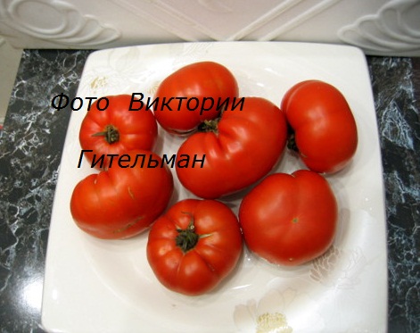 IMG_8322.JPG
