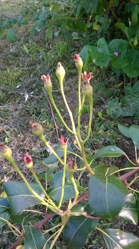 WP_20180825_005.jpg