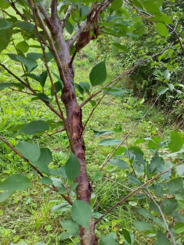 20180820_153507.jpg