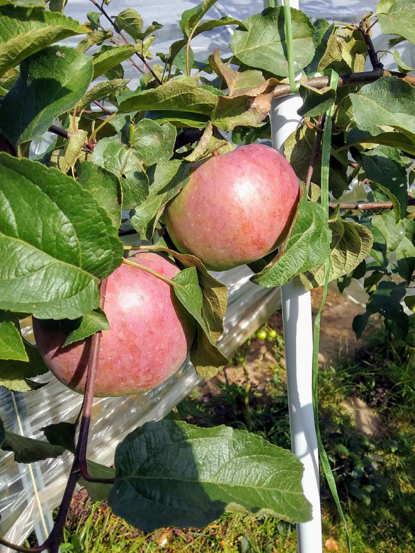 20180828_092653~2.jpg