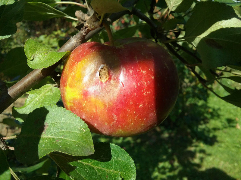 20180829_100506.jpg
