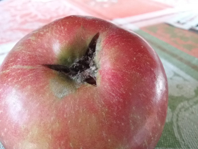 20180829_100629.jpg