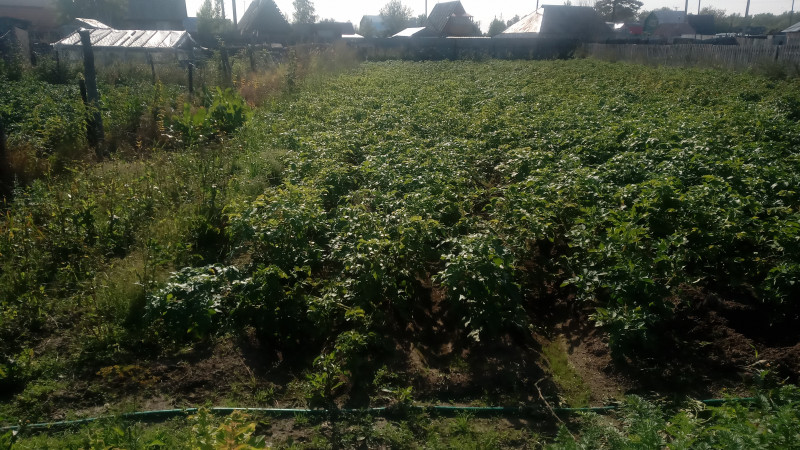 IMG_20180903_100237-min.jpg