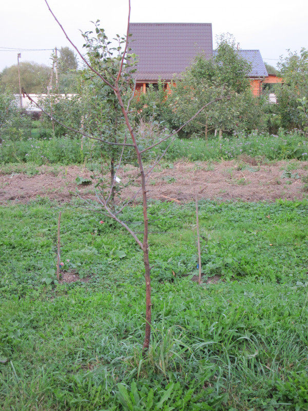 IMG_9093.JPG