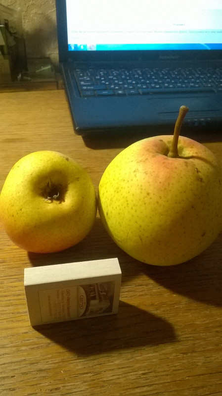 WP_20160927_004.jpg
