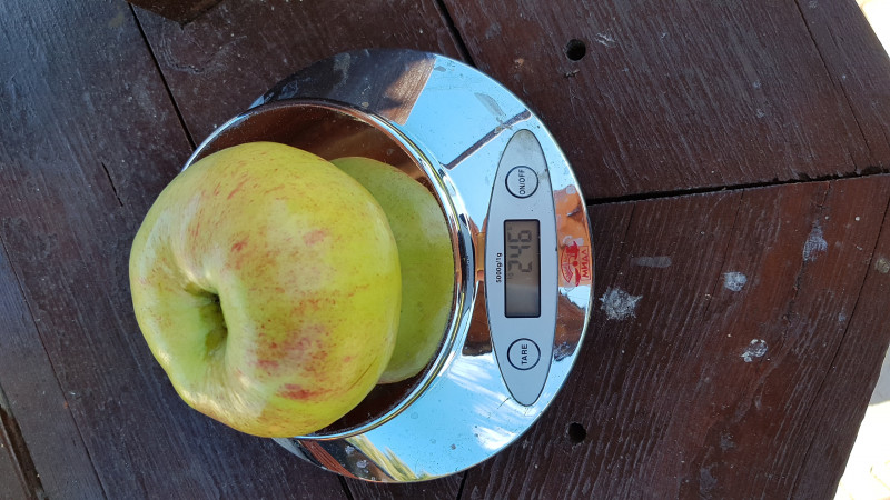 20180915_141757.jpg