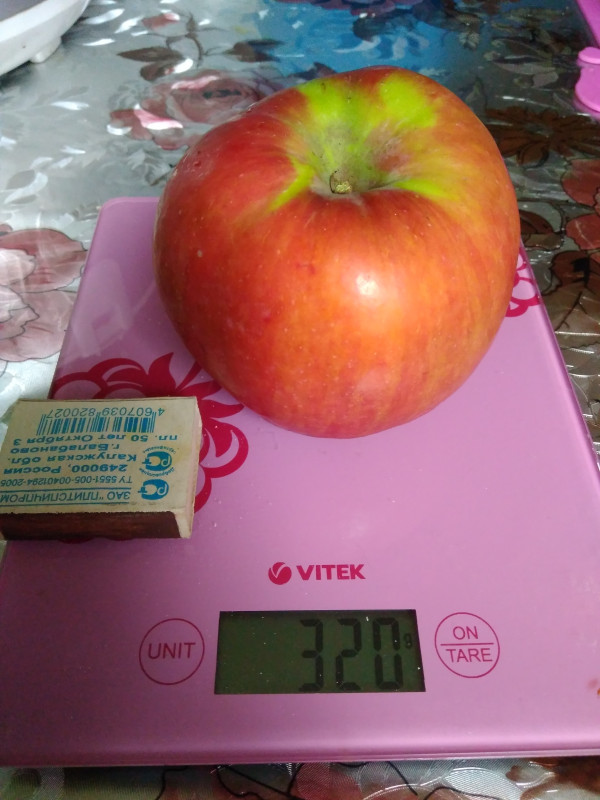 1537107282137-1852692190.jpg