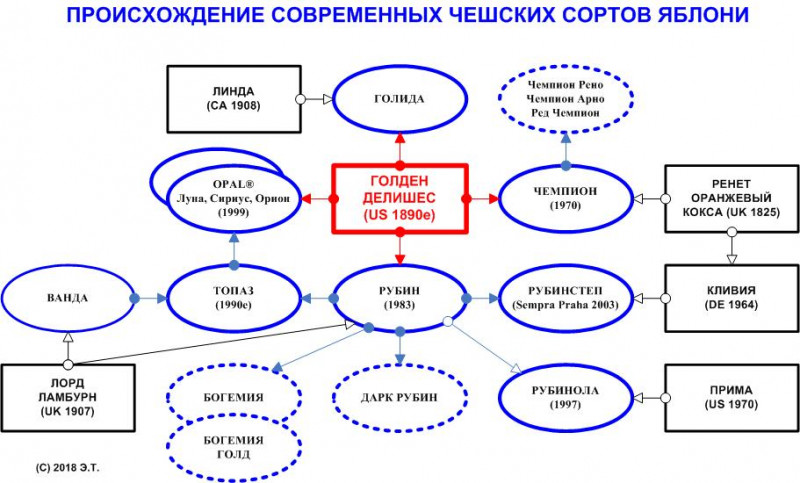 Чешские сорта яблони.jpg
