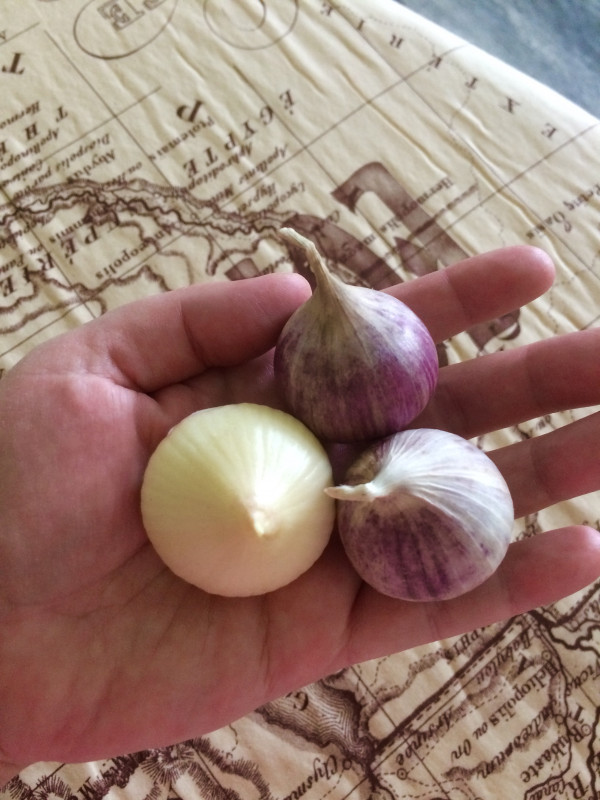 image.jpeg