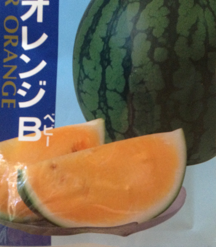 Summer orange