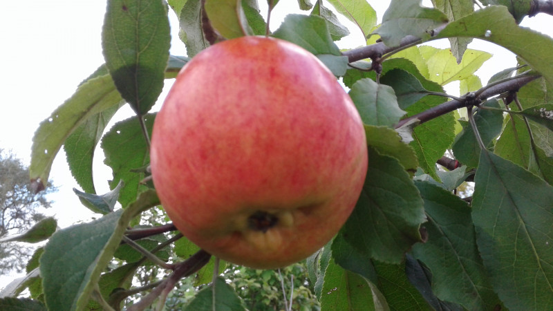 20180920_112449.jpg