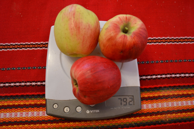 DSC_1054.JPG