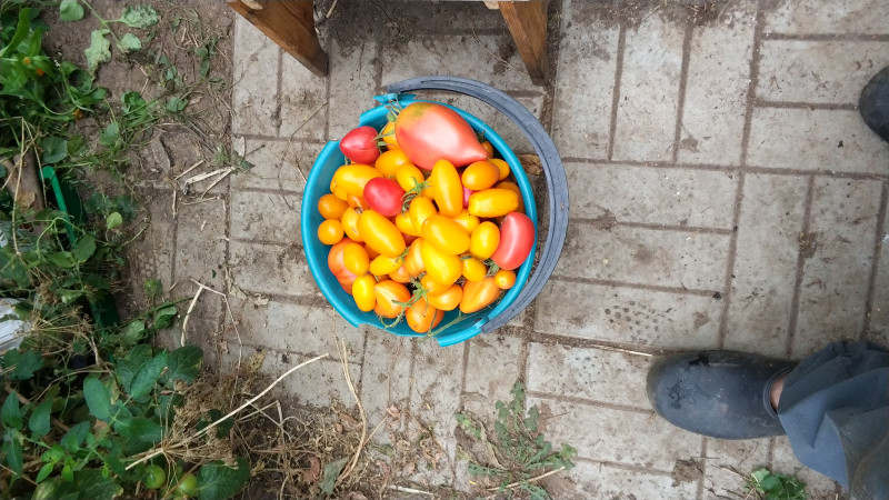 IMG-20180928-WA0008.jpeg