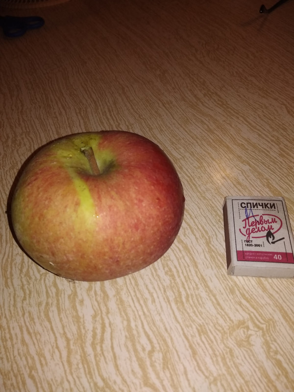 IMG_20180929_192446.jpg