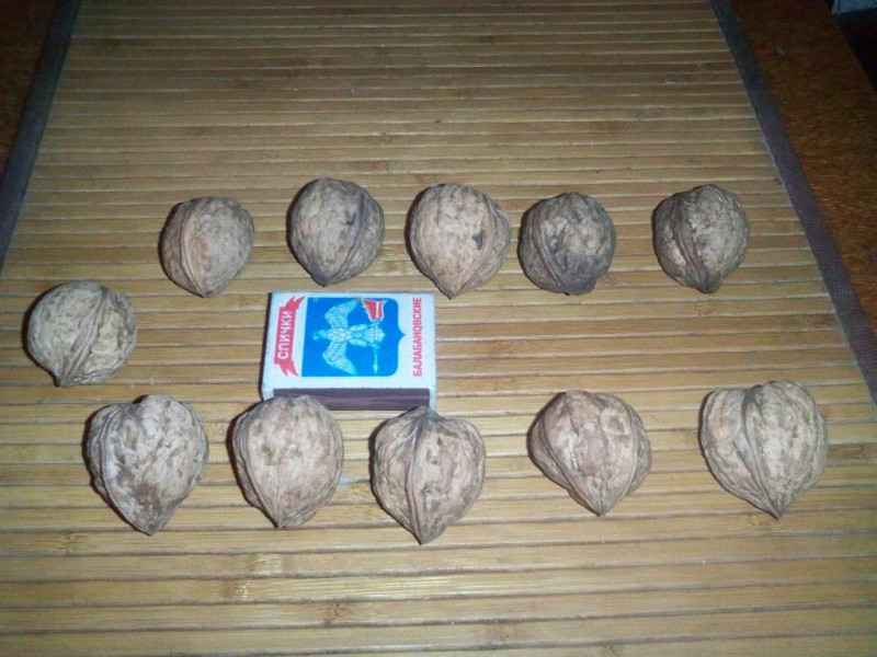 kdk_0856.jpg