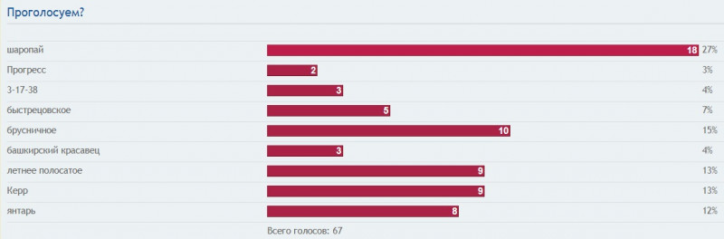 Итоги голосования.jpg