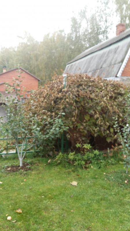 20181008_115335.jpg