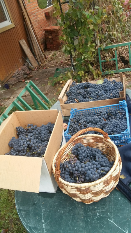 20181008_115251.jpg