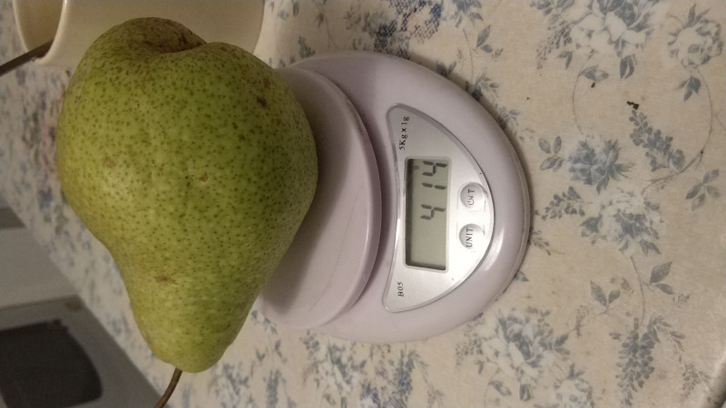 IMG-20181007-WA0023.jpeg