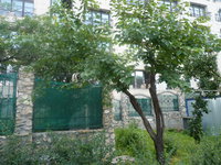 P1030047.JPG