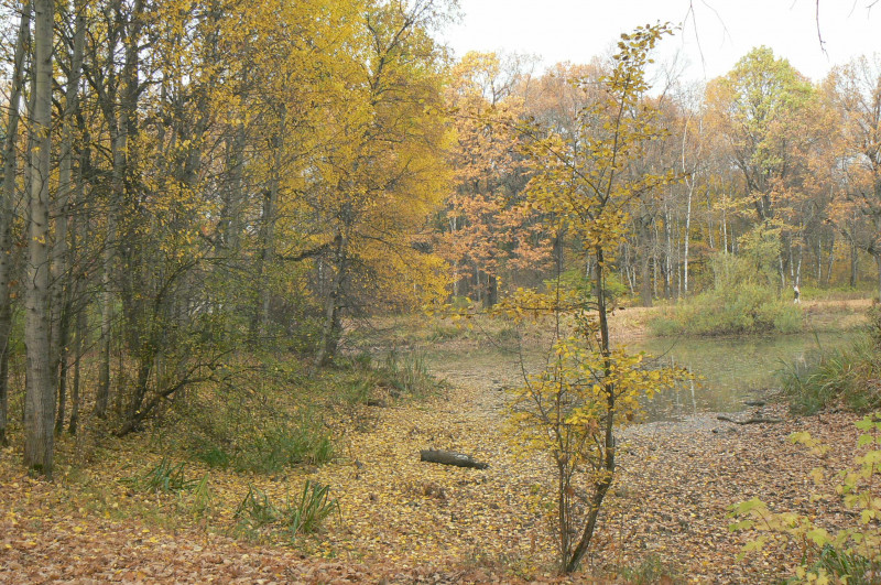 P1410024.JPG