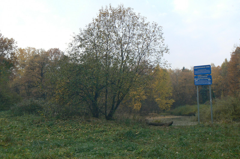 P1410032.JPG