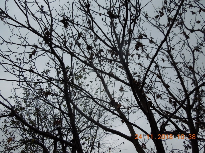 DSCN7244.JPG