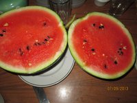 Арбуз IMG_0494.JPG
