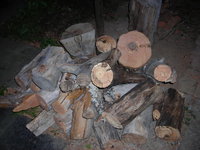 DSCN6833напилили.JPG