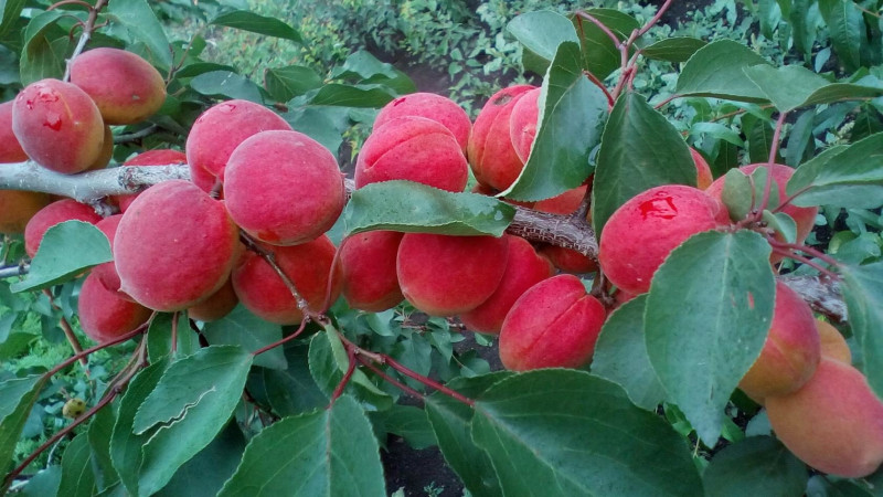 image (8).jpg