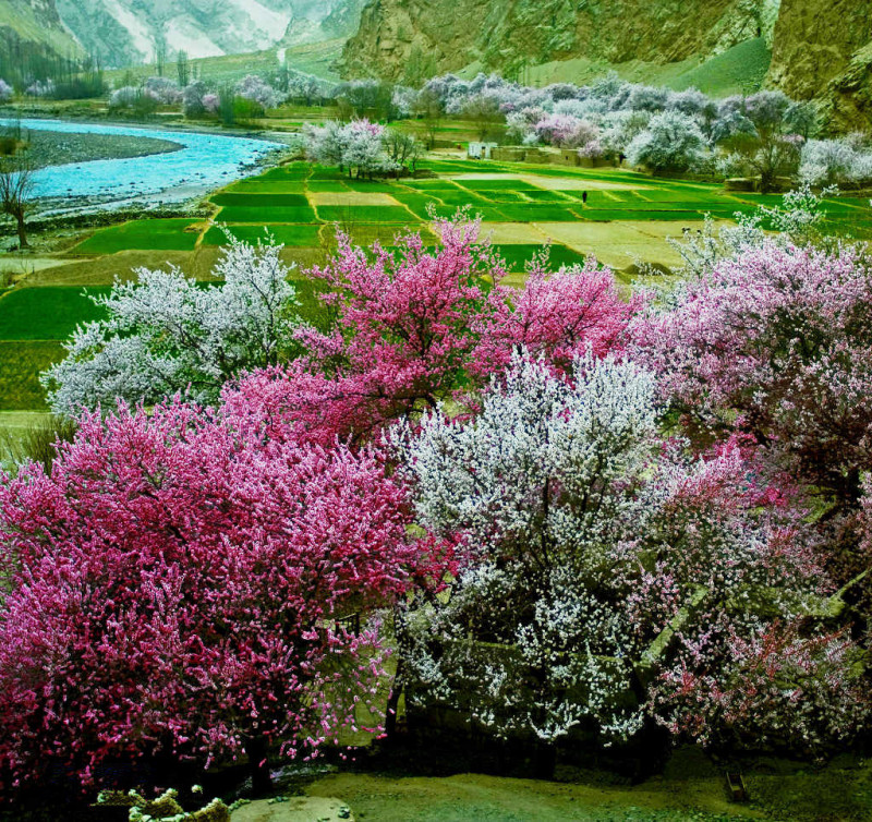 image (11).jpg