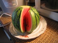 IMG_5435.JPG