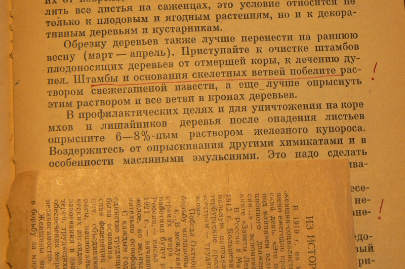 P1410198.JPG