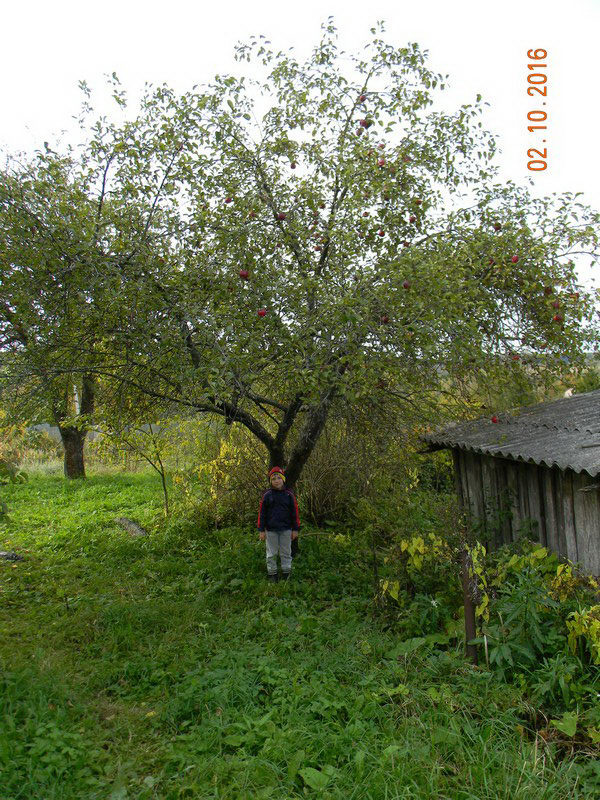 200 001 (Копировать).jpg