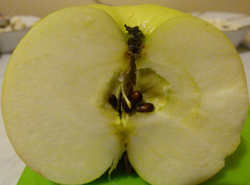 P1160024.JPG