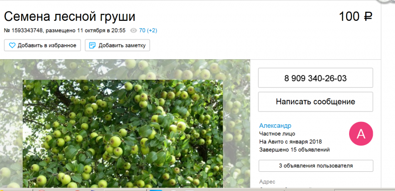 Снимок.PNG