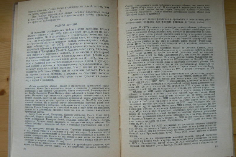 P1410255.JPG