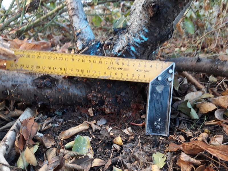 20181118_154803.jpg