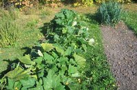 IMG_5442.JPG