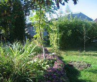 IMG_5444.JPG