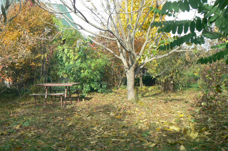P1400760.JPG