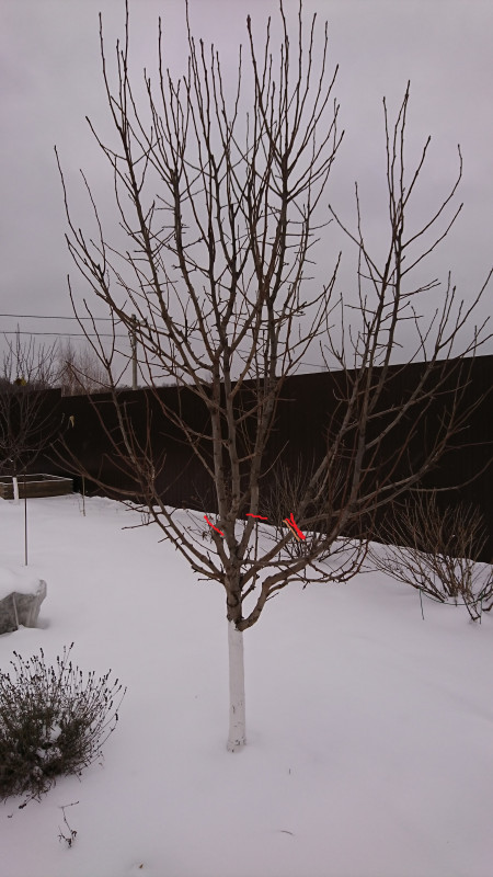 DSC_1495.jpg